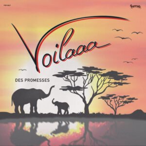 LP Voilaaa Des Promesses